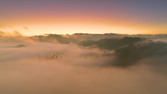 云雾中的茶山