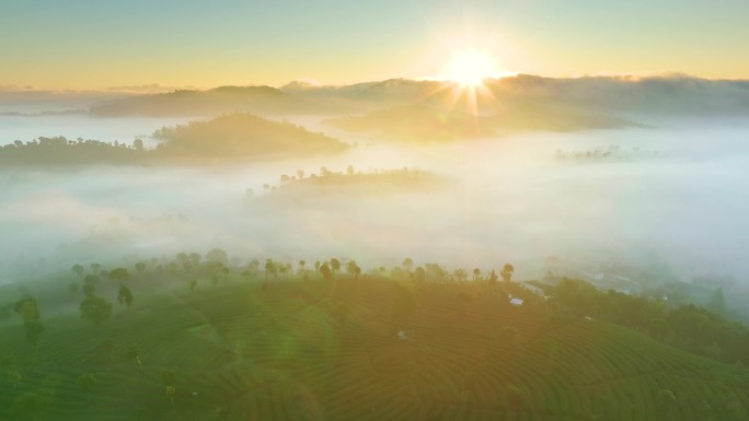 云雾中的茶山