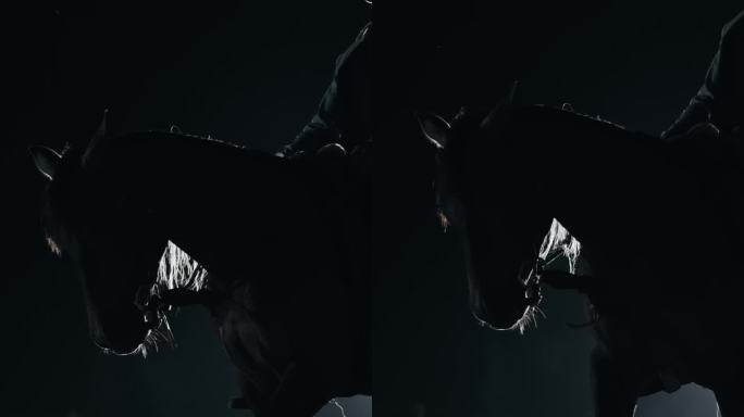 年轻人骑在马上走在牧场夜间-垂直