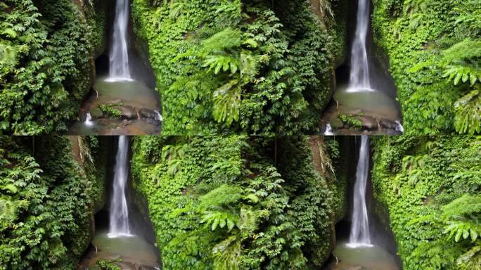 勒克勒克瀑布位于印尼巴厘岛幽静的热带丛林风光中，森林植被郁郁葱葱。缓倾斜天线