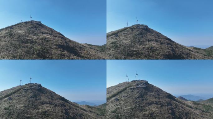 浙江会稽山东白山秋天高山草甸芦花风车风电