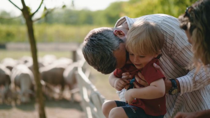 暑假参观牧羊场时，爸爸和妈妈拥抱并亲吻在一起玩耍的小儿子