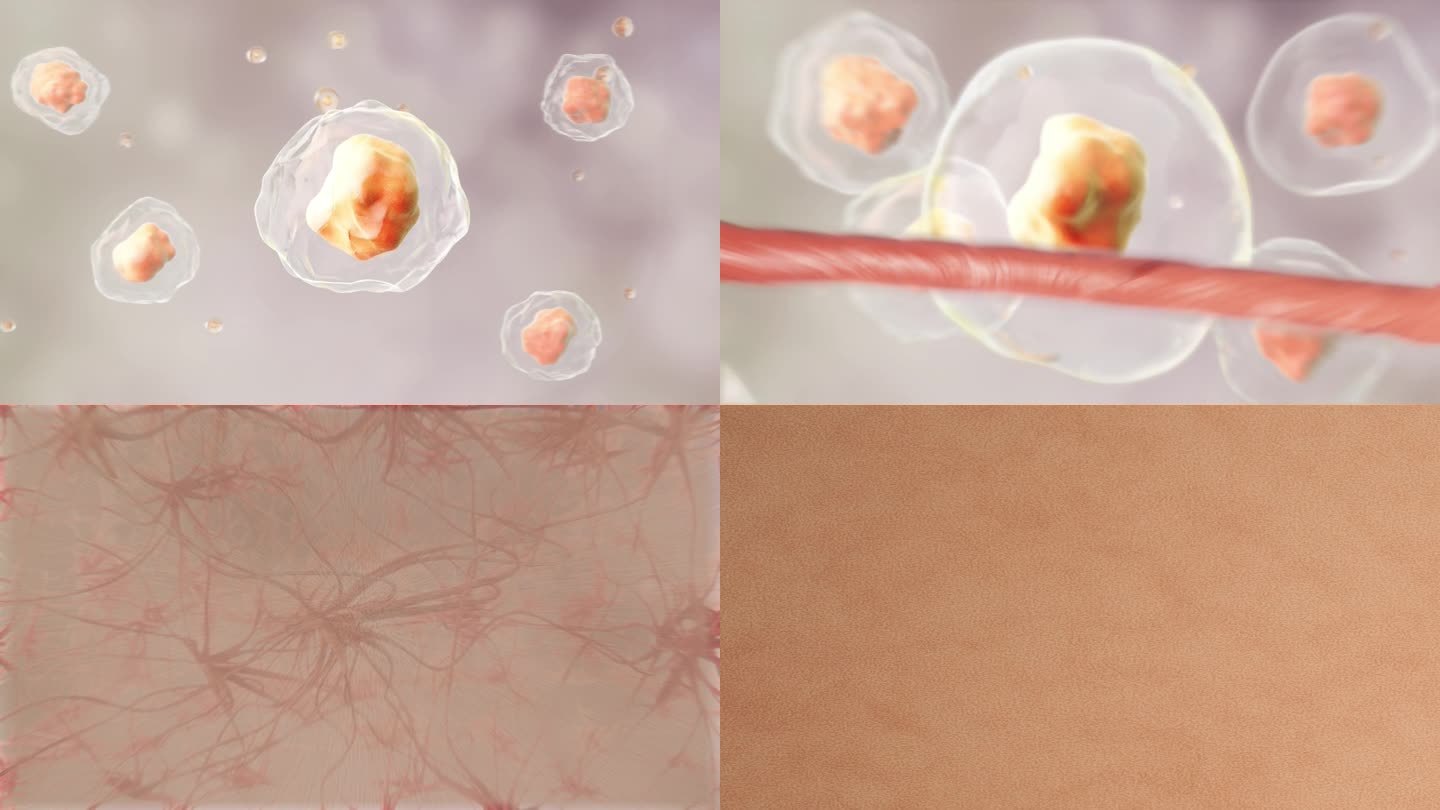 恢复细胞弹性  细胞嘭弹 皮肤焕活新生