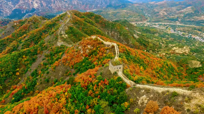 秋天秋叶秋景山林枫叶唯美红叶风景航拍