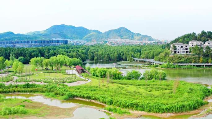 杭州临安青山湖水上森林公园