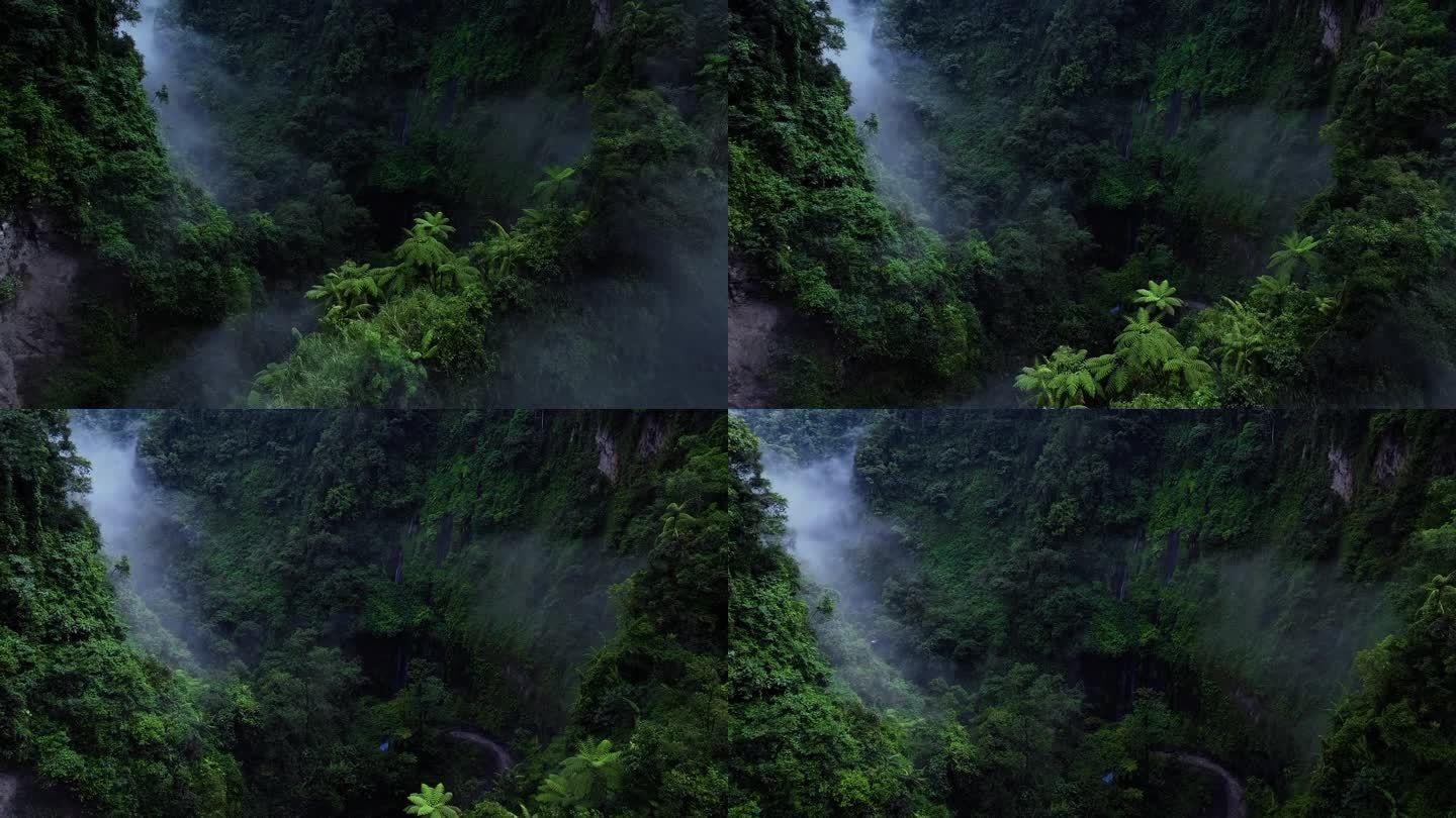 无人机拍摄的印尼爪哇岛上神圣的Tumpak Sewu瀑布丛林。