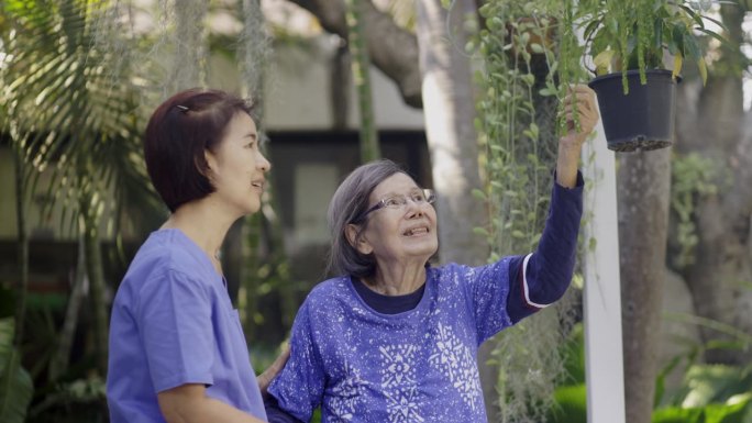 园艺疗法在老年妇女痴呆治疗中的应用。