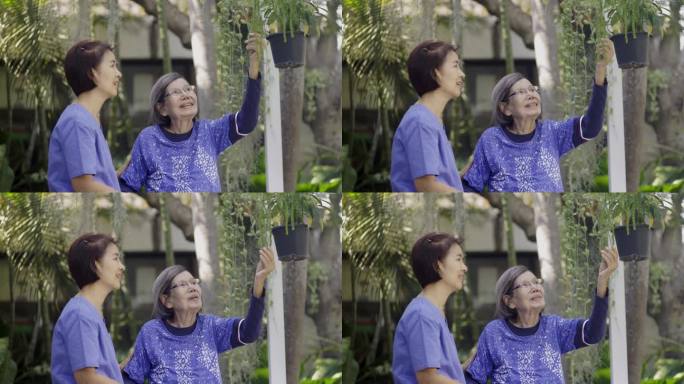 园艺疗法在老年妇女痴呆治疗中的应用。
