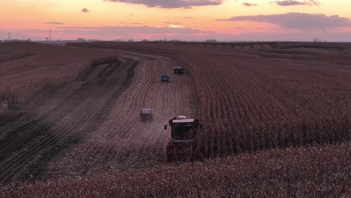 夕阳下秋收玉米收割航拍