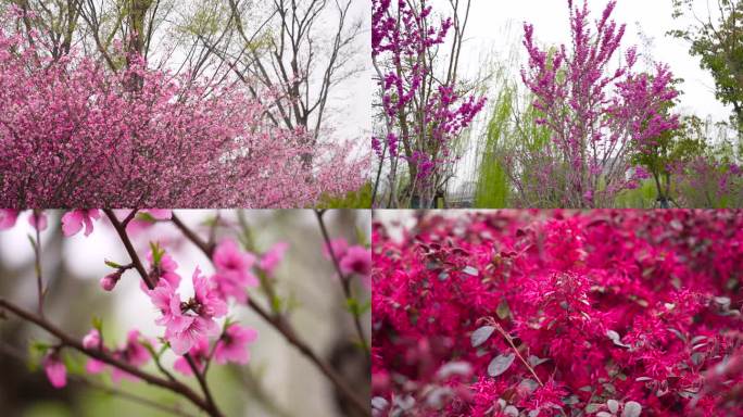 春暖花开