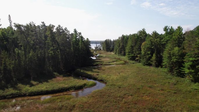 史诗般的长空中独木舟。长长的沼泽河，通往原始的荒野湖泊，加拿大。4K