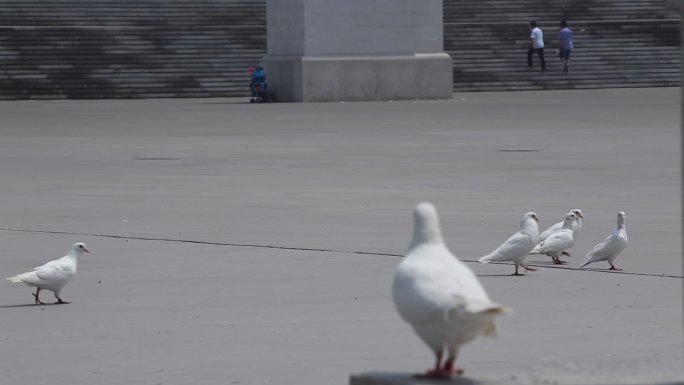 陕甘边革命根据照金纪念馆