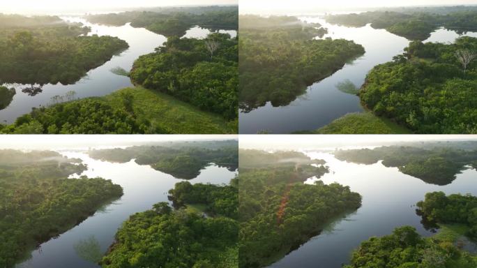 热带雨林、河流丛林鸟瞰图