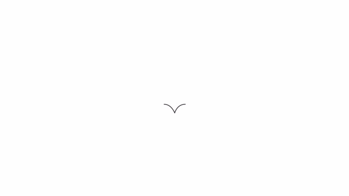 极简的海鸥飞行bw轮廓2D对象动画