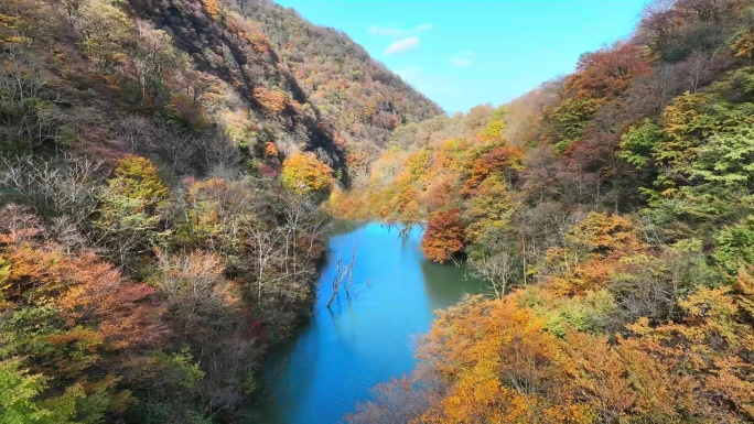 龙头山画廊水池2.mp4