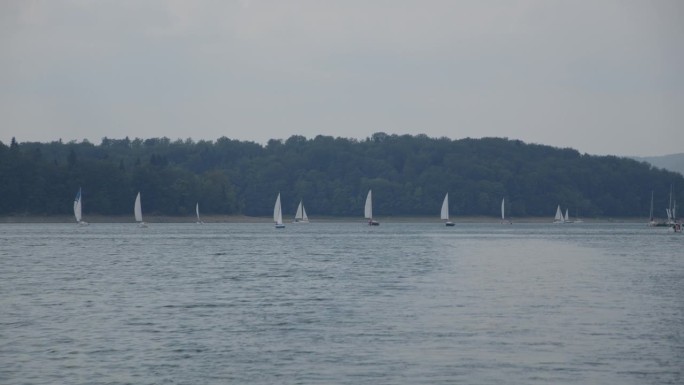 暑假在湖边。船看见远处有许多帆船