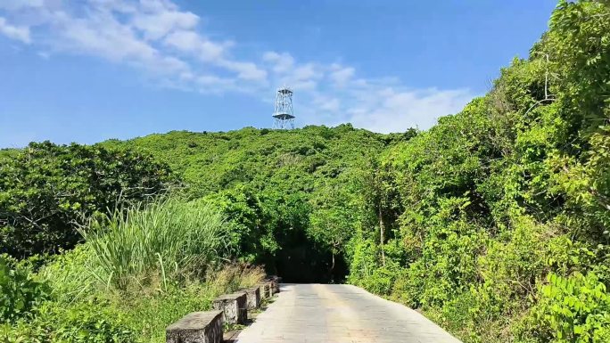 海南自驾旅行 短视频宣传片 热带风光