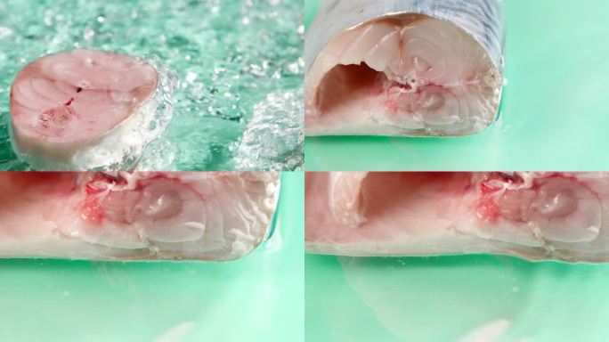 新鲜鲅鱼鱼肉段 鲅鱼肉展示鲅鱼饺子肉馅