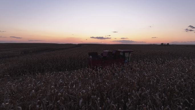 夕阳下秋收玉米收割航拍