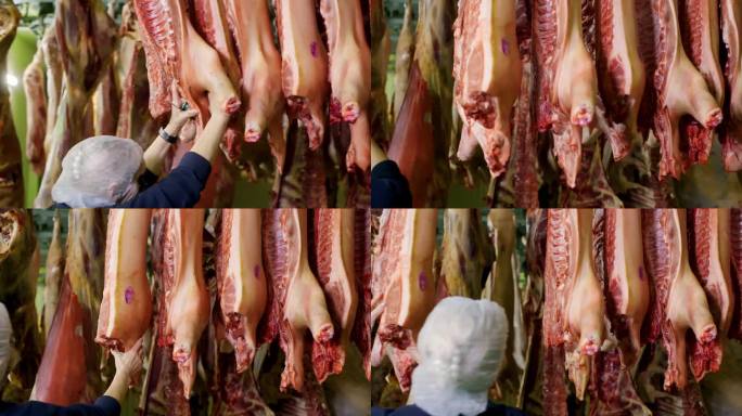 女工正在搬运工厂冰箱里一排排的猪肉。