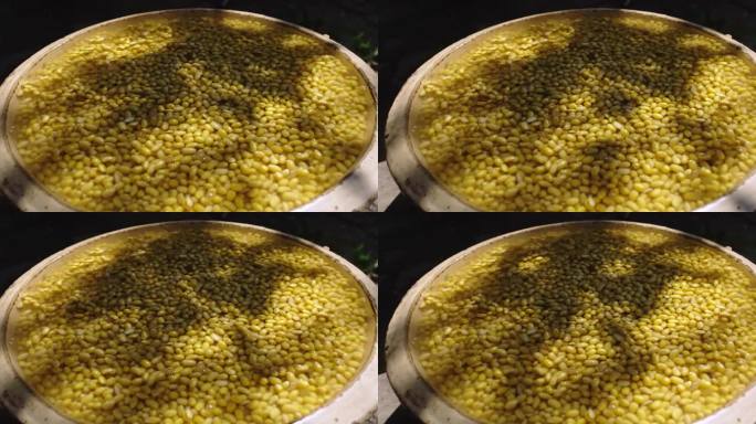 水中浸泡的黄豆特写素材