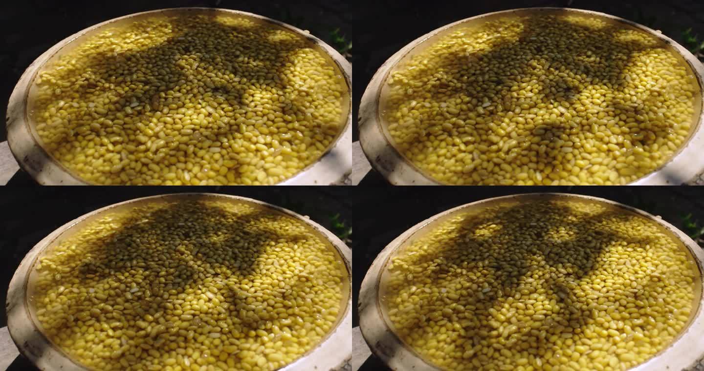 水中浸泡的黄豆特写素材
