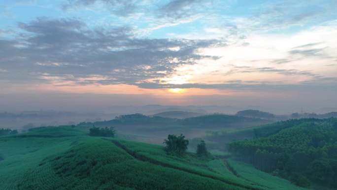 山林日出的早晨 清新的空气