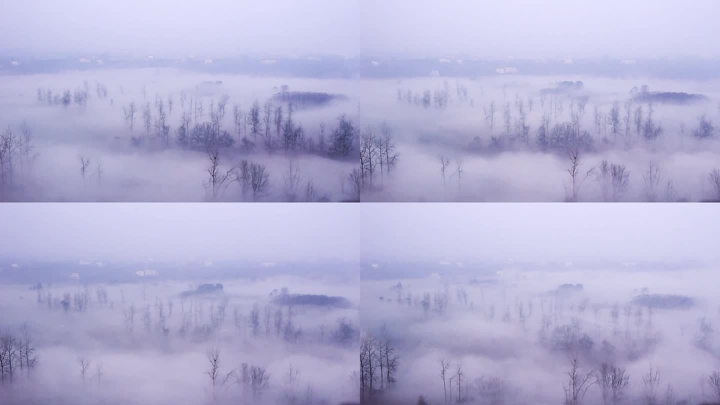冬日清晨村庄雾气缭绕风景素材