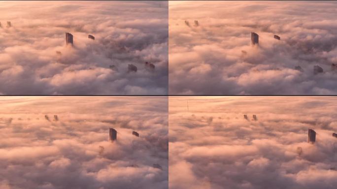 城市建筑云雾日出景观