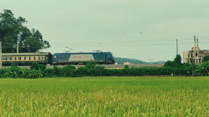 绿皮火车穿过稻田   丰收   希望