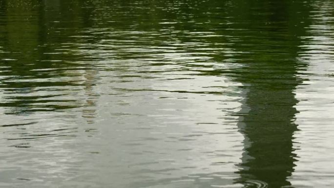 雨后湖面小水波的特写和前方选定的焦点。风水舞。
