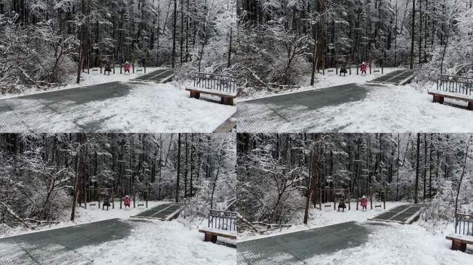 海螺沟冰川森林公园冬季雪景雾凇旅行航拍