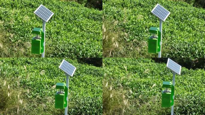 茶山茶园茶场绿色无公害风吸式太阳能捕虫器