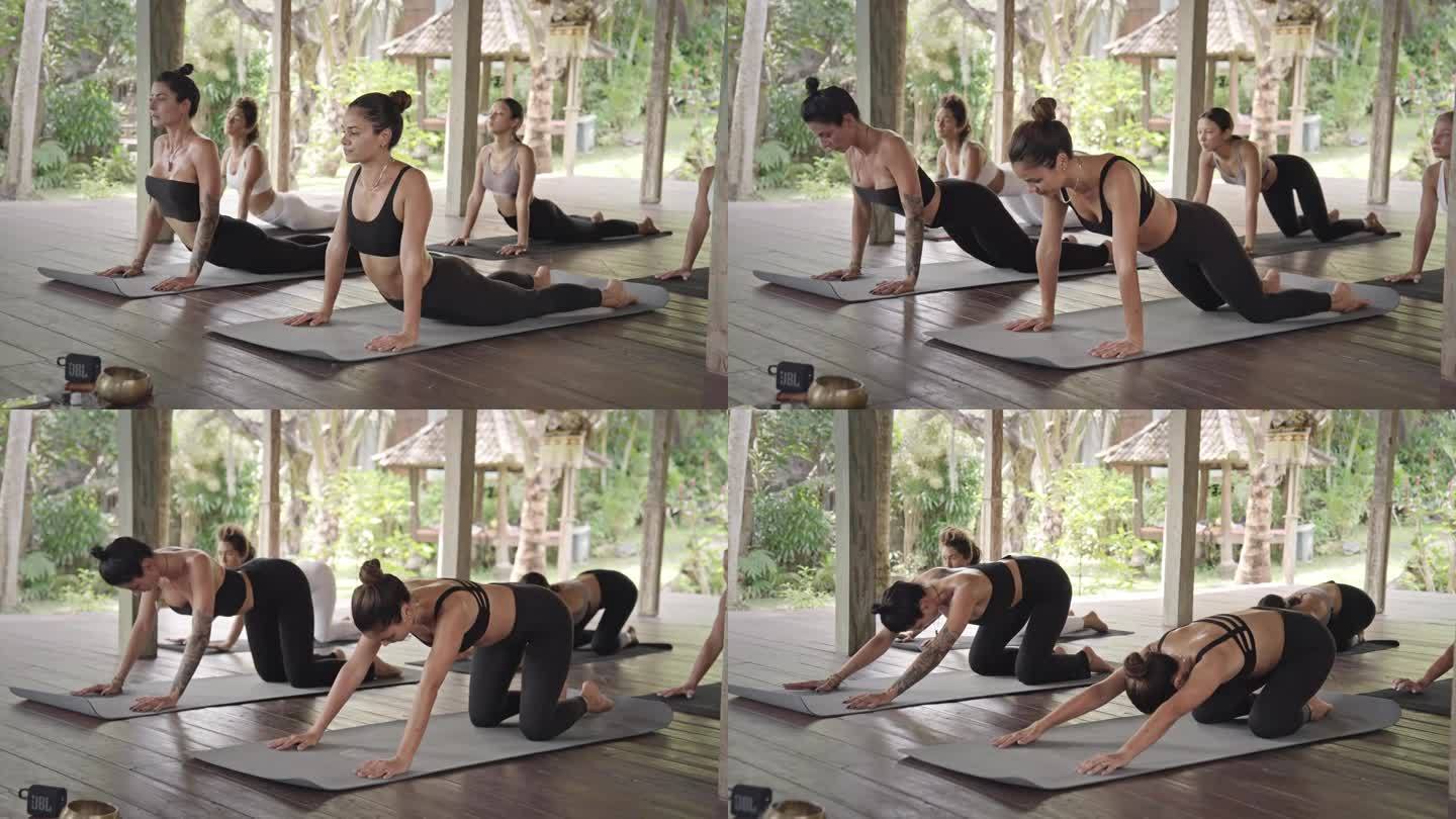女性在健身课上的瑜伽冥想。苗条运动员女孩的健康、能量和保健概念。绿色工作室女性瑜伽练习者的身体柔韧性