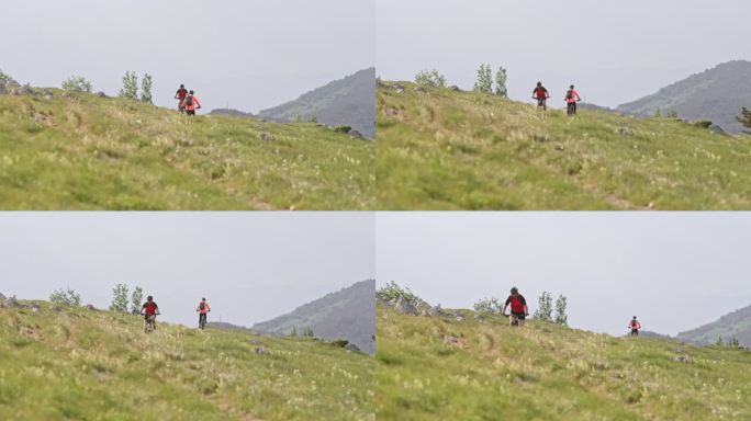 两个山地自行车手在阳光明媚的山路上擦肩而过