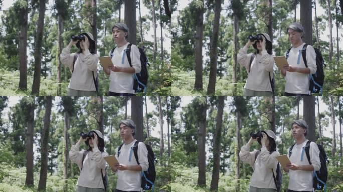一对日本夫妇在宁静的森林里用笔记本记录了他们的观鸟之旅。