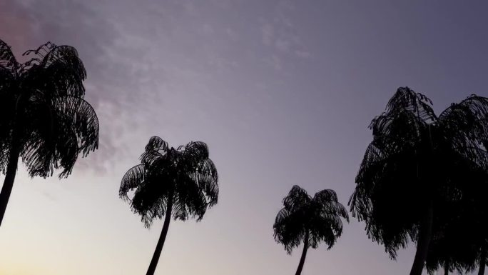 顺利移动无限的道路两旁的棕榈树与日落天空在底部视图背景。畅快夏日休息理念。高品质4k画面