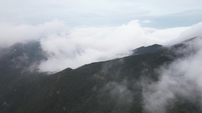 秦岭和云海