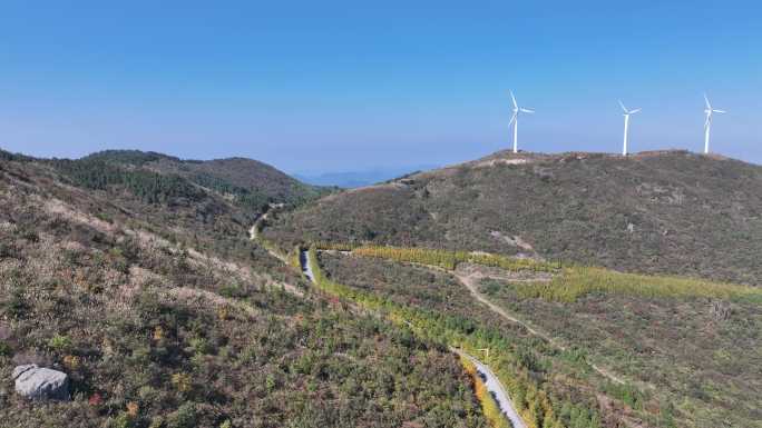 浙江会稽山东白山高山草甸芦花秋天风车风电