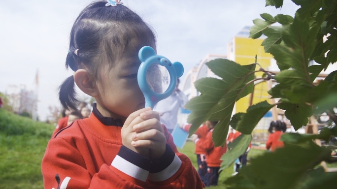 幼儿园小朋友户外观察学习玩游戏美好童年快