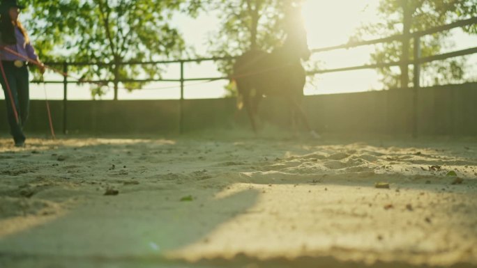 SLO莫表面水平的年轻女子训练马蹄声桑迪牧场上晴天