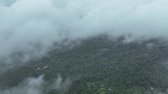 航拍泰国普吉岛卡伦海滩地区城镇风光