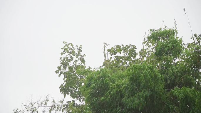 雨大雨暴雨雷雨下雨天