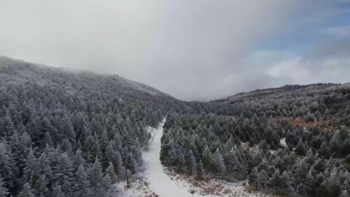 汉中飞春雪 山川入画来