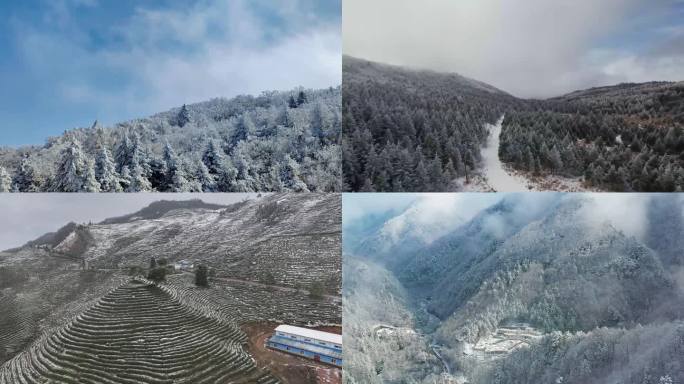 汉中飞春雪 山川入画来