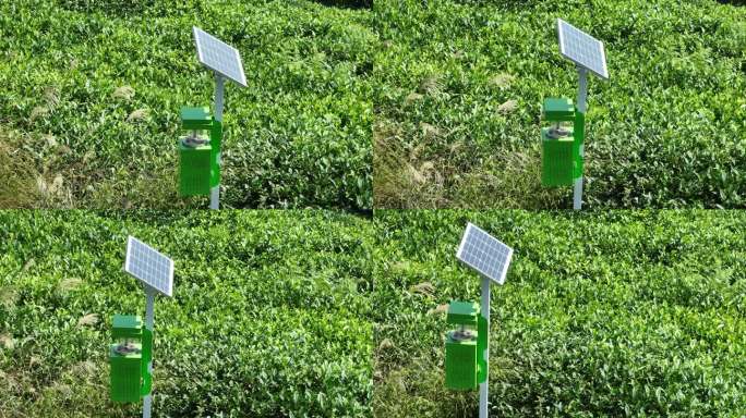 茶山茶园茶场风吸式太阳能杀虫灯捕虫器