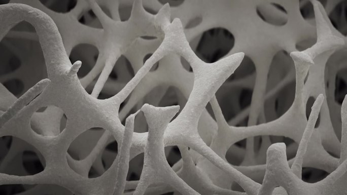海绵骨组织生长的慢动作特写，扫描电镜，三维动画。