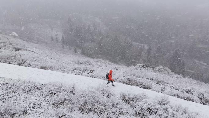 航拍男子走在新疆禾木村的风雪中