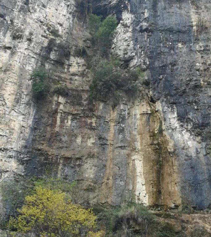 太古洞天 悬崖 峭壁 苍松 险恶