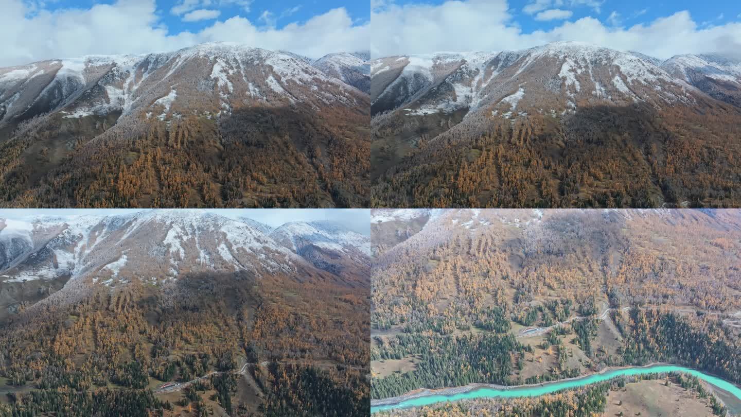 航拍秋天的喀纳斯雪山河流